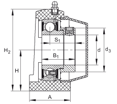 直立式軸承座單元 PSHE20-TV-FA125.5, 塑料軸承座，帶偏心鎖圈的外球面球軸承，帶 Corrotect? 涂層，P型密封