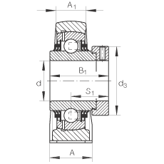 直立式軸承座單元 TSHE50-N, 鑄鐵軸承座，帶偏心鎖圈的外球面球軸承，T 型密封