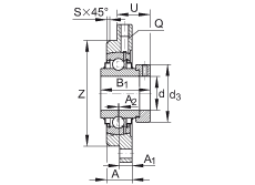 軸承座單元 RMEO100, 帶四個(gè)螺栓孔的法蘭的軸承座單元，鑄鐵，定心凸出物，偏心鎖圈，系列 63，R密封